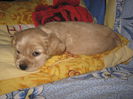 poze 11.01.2013 081