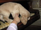 poze 11.01.2013 120