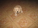 poze 11.01.2013 121