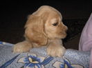 poze 11.01.2013 122
