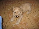 poze 11.01.2013 126