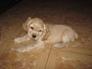 poze 11.01.2013 127