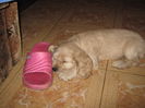poze 11.01.2013 128