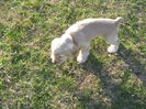 poze 11.01.2013 160