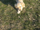 poze 11.01.2013 162