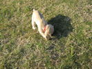 poze 11.01.2013 163