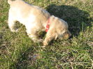 poze 11.01.2013 164