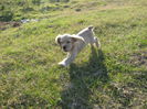 poze 11.01.2013 166