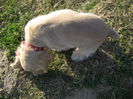 poze 11.01.2013 167
