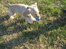 poze 11.01.2013 168
