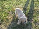 poze 11.01.2013 169