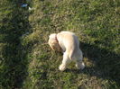 poze 11.01.2013 172