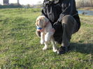 poze 11.01.2013 173