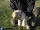 poze 11.01.2013 174