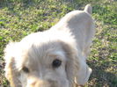poze 11.01.2013 175
