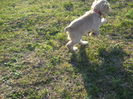 poze 11.01.2013 176