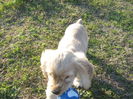 poze 11.01.2013 177