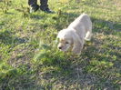 poze 11.01.2013 178