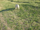poze 11.01.2013 179