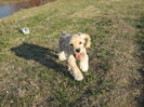 poze 11.01.2013 180
