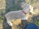 poze 11.01.2013 181