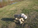 poze 11.01.2013 182