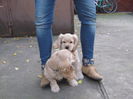 poze 11.01.2013 188