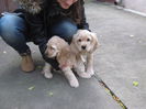 poze 11.01.2013 193
