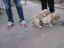 poze 11.01.2013 203