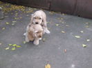 poze 11.01.2013 204