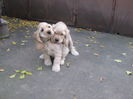 poze 11.01.2013 205