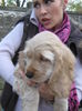 poze 11.01.2013 212