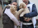 poze 11.01.2013 215