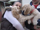 poze 11.01.2013 216