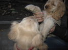 poze 11.01.2013 222