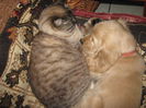 poze 11.01.2013 231