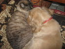 poze 11.01.2013 232