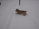 poze 11.01.2013 249
