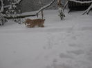 poze 11.01.2013 253