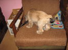 poze 11.01.2013 272