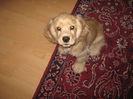 poze 11.01.2013 274