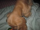 poze 11.01.2013 276