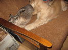 poze 11.01.2013 283
