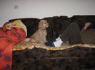 poze 11.01.2013 312