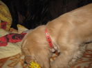 poze 11.01.2013 318