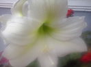 CAM02180
