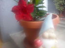 CAM02181