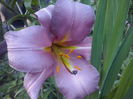 CAM02347
