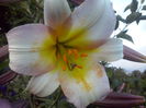 CAM02348