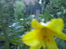 CAM02354